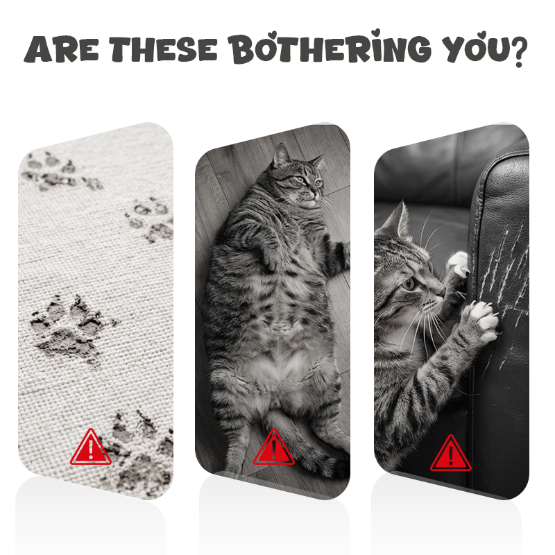 💥Få 49% rabatt för dig! Interaktiv fjärrkontroll Hängande kattleksak