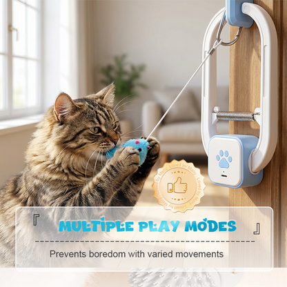 💥Få 49% rabatt för dig! Interaktiv fjärrkontroll Hängande kattleksak